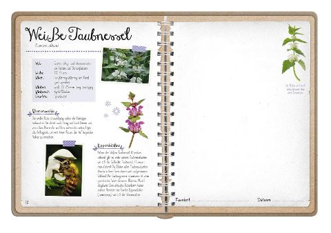 InsideView 4