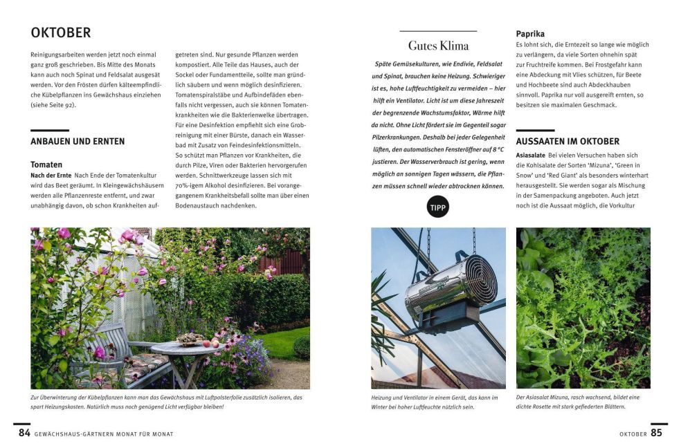 InsideView 8