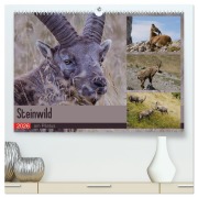 Cover-Bild zum Titel 'Steinwild am Pilatus (hochwertiger Premium Wandkalender 2026 DIN A2 quer), Kunstdruck in Hochglanz' von 'Norbert W. Saul'