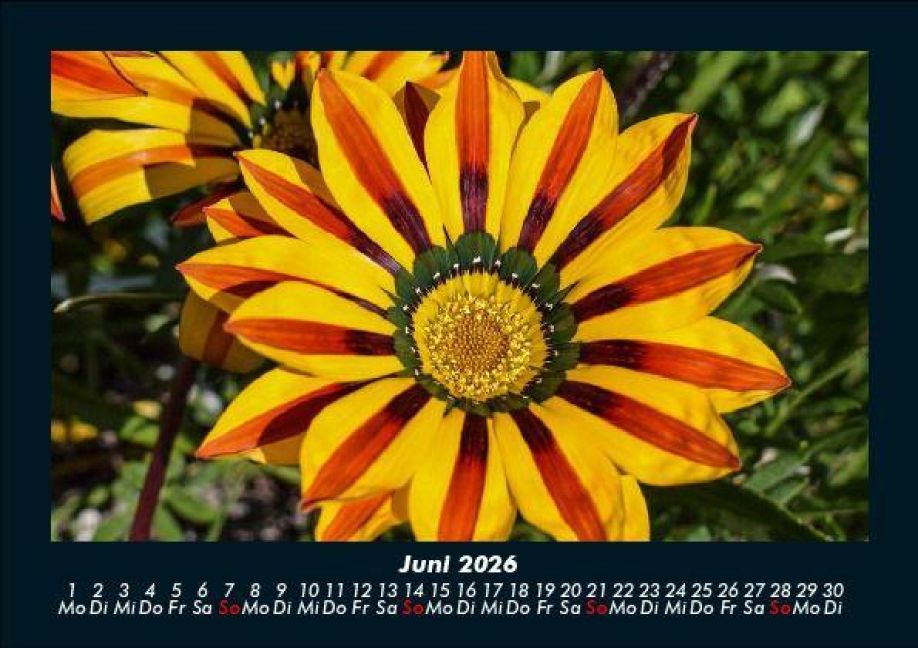 InsideView 10