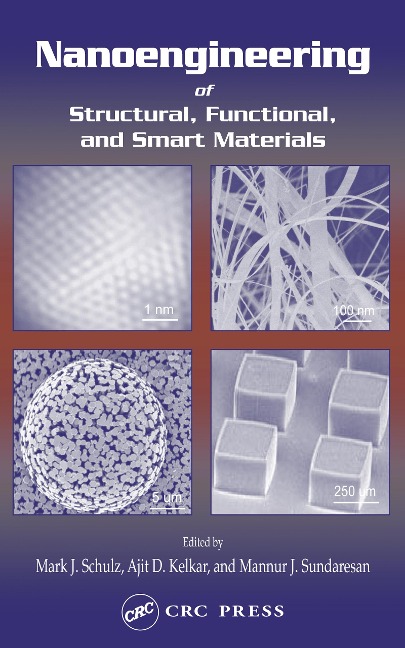 Nanoengineering of Structural, Functional and Smart Materials - 