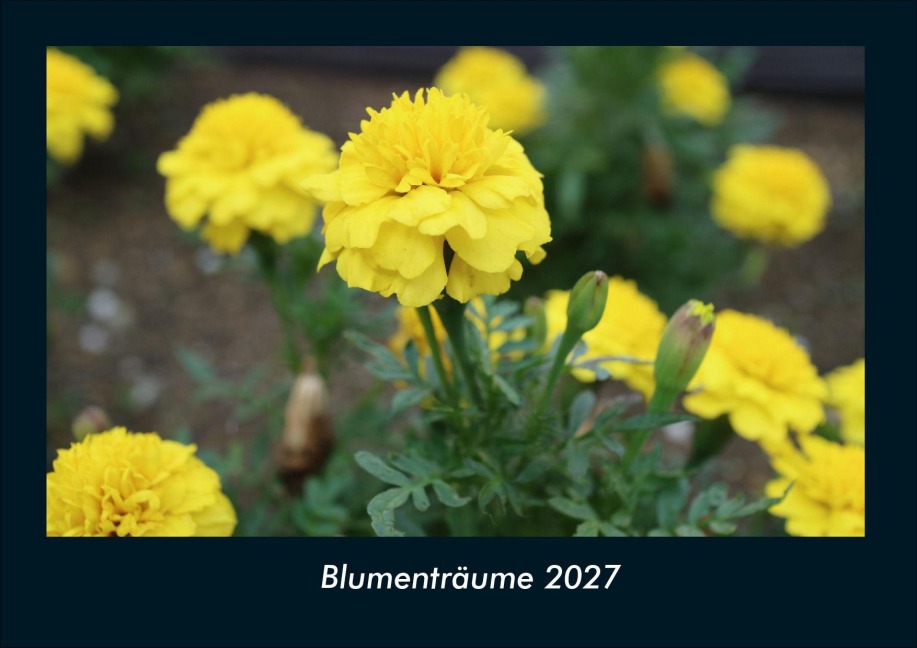 Blumenträume 2027 Fotokalender DIN A4 - Tobias Schmitt, Kevin Heber