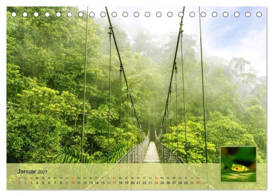 InsideView 6