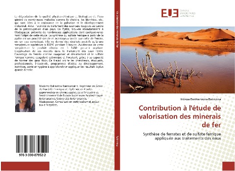 Contribution à l'étude de valorisation des minerais de fer - Holisoa Rantsaniaina Ralinirina