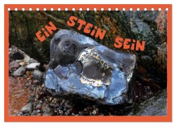 Cover-Bild zum Titel 'EIN STEIN SEIN (Tischkalender 2026 DIN A5 quer), CALVENDO Monatskalender' von 'Kathrin Sachse'