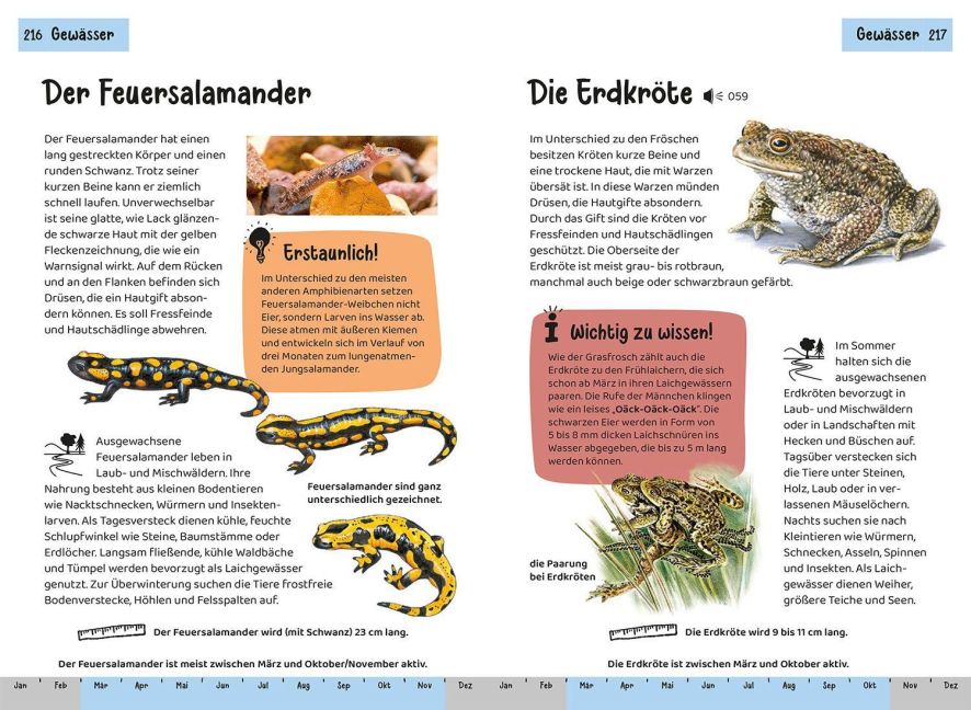 InsideView 6