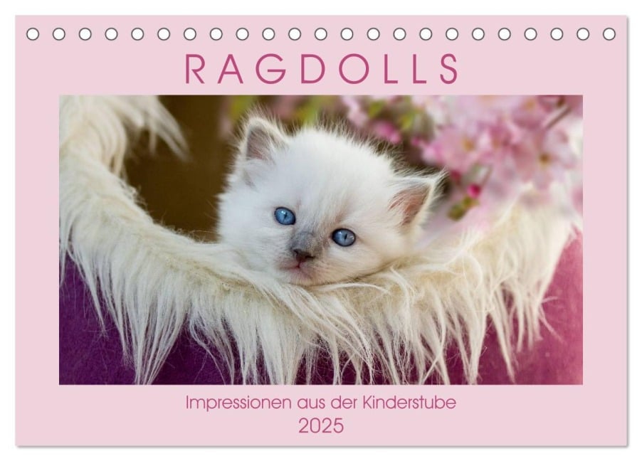 RAGDOLLS Impressionen aus der Kinderstube (Tischkalender 2025 DIN A5 quer), CALVENDO Monatskalender - Marion Reiß-Seibert