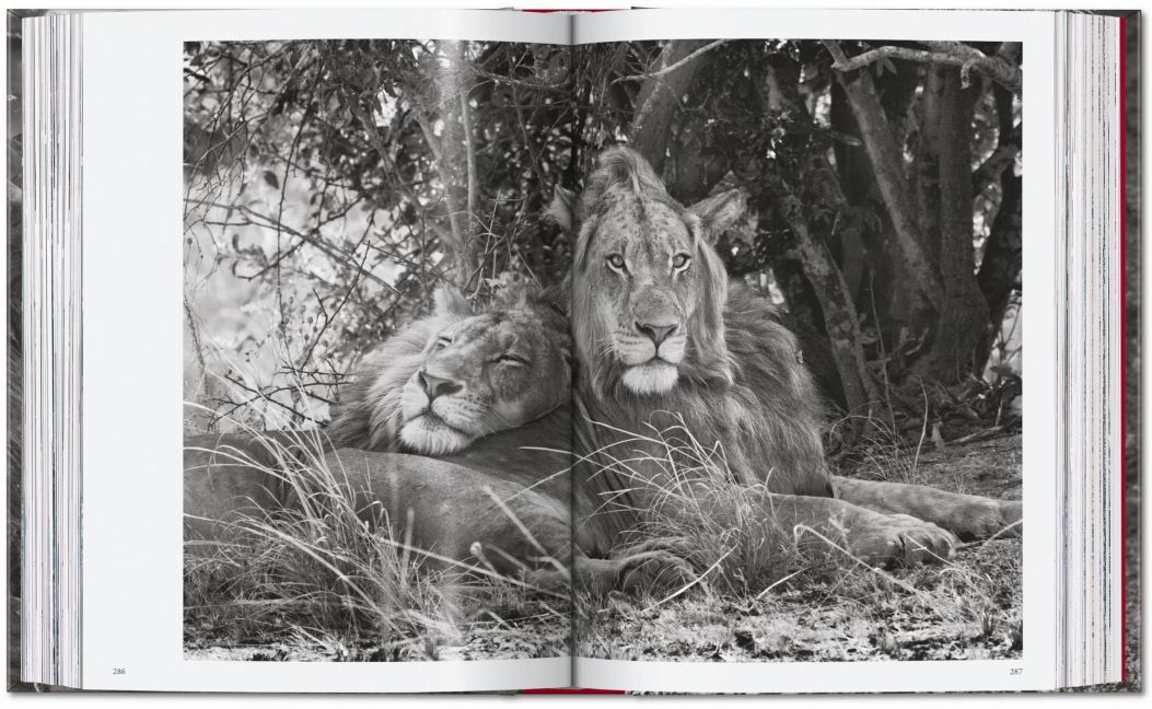 InsideView 14