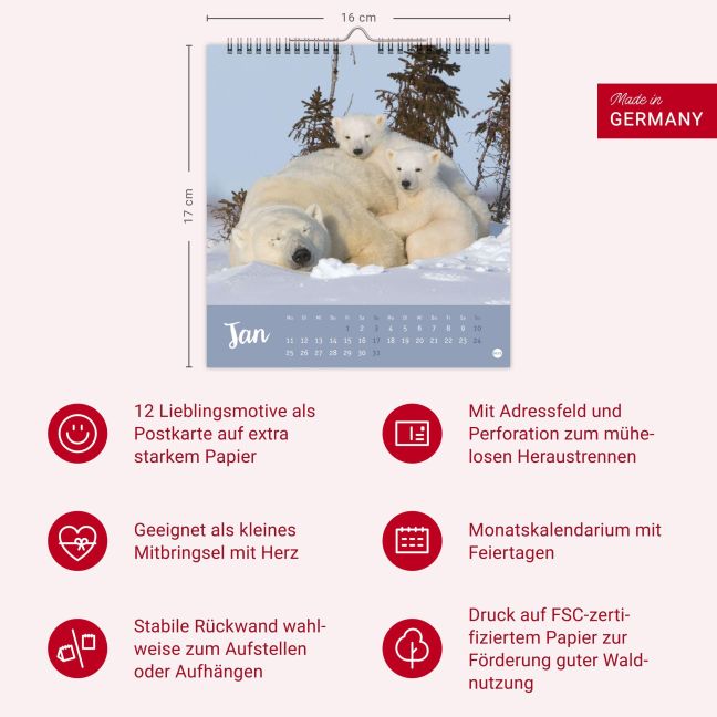 InsideView 13
