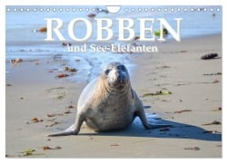 Robben und See-Elefanten (Wandkalender 2025 DIN A4 quer), CALVENDO Monatskalender - Robert Styppa