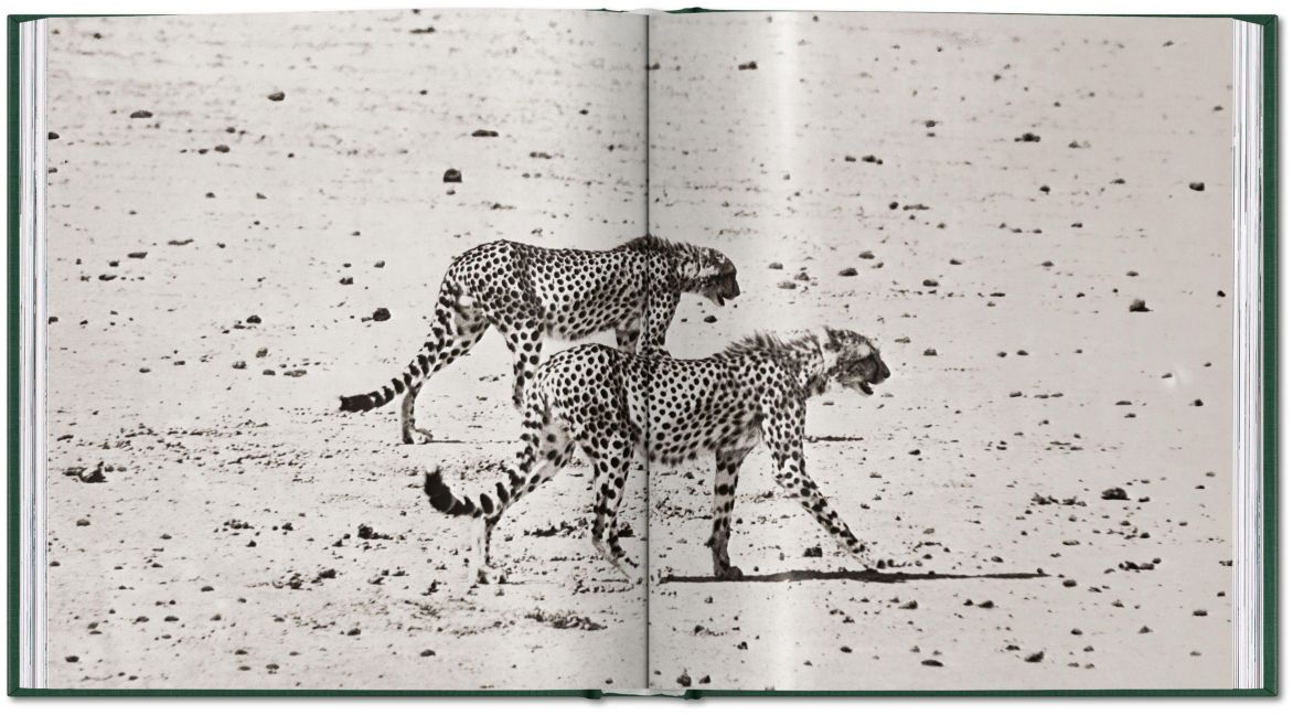InsideView 15