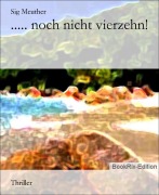 Cover-Bild zum Titel '..... noch nicht vierzehn!' von 'Sig Meuther'