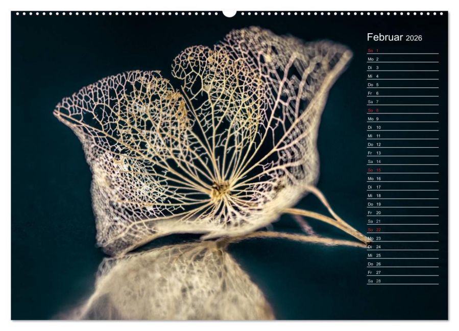 InsideView 6