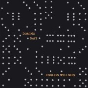 Cover-Bild zum Titel 'Domino Days' von 'Endless Wellness'