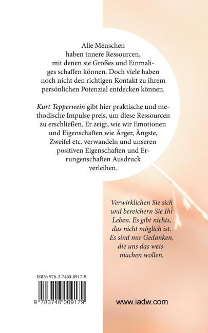InsideView 1