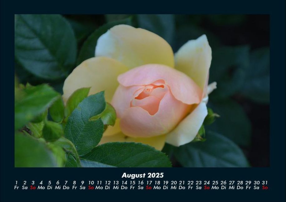 InsideView 12
