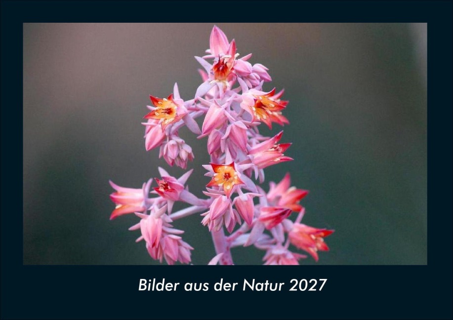 Bilder aus der Natur 2027 Fotokalender DIN A4 - Tobias Schmitt, Kevin Heber