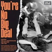 Cover-Bild zum Titel 'You're No Big Deal-Grunge & The US Underground' von 'Various'