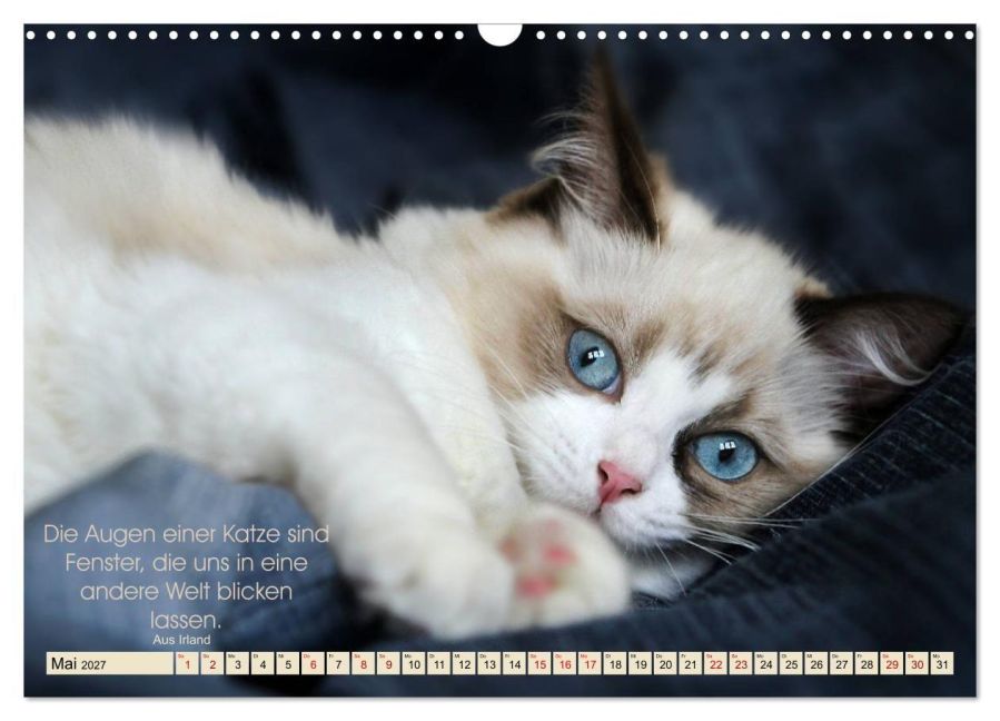 InsideView 10