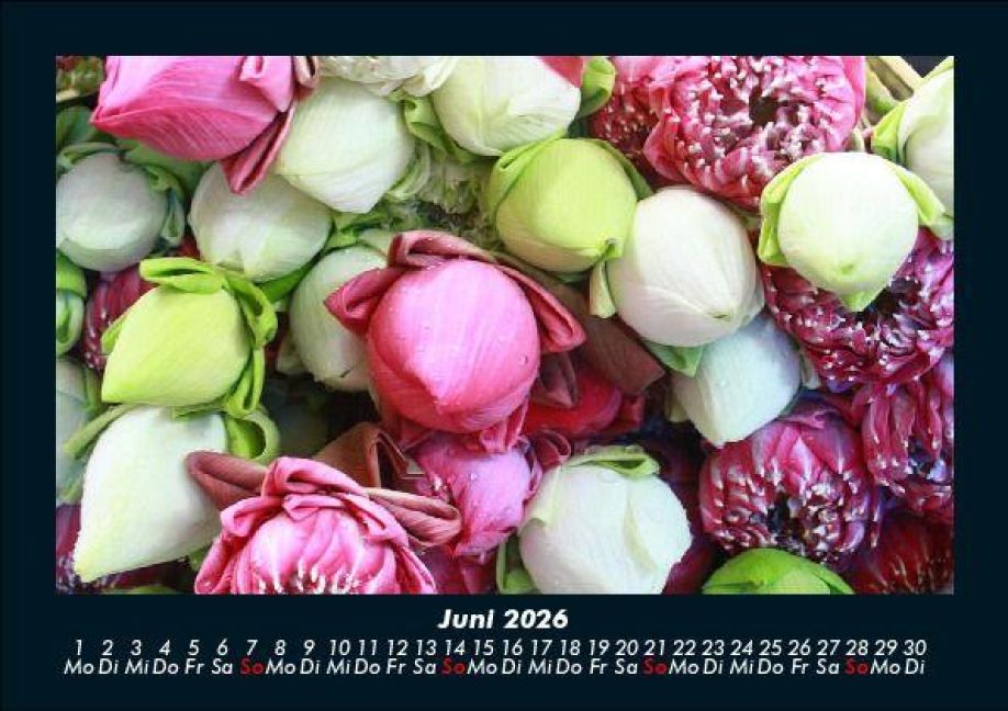 InsideView 10