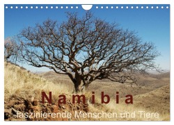 Cover-Bild zum Titel 'Namibia - faszinierende Menschen und Tiere (Wandkalender 2026 DIN A4 quer), CALVENDO Monatskalender' von 'Brigitte Dürr'