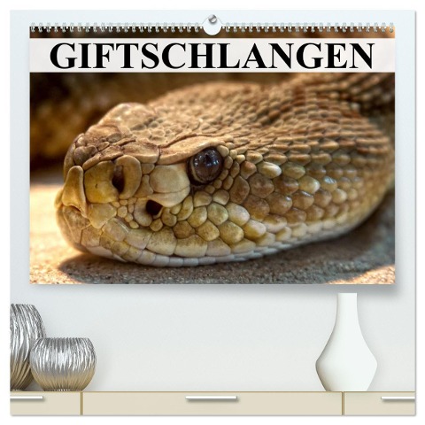 Giftschlangen (hochwertiger Premium Wandkalender 2024 DIN A2 quer), Kunstdruck in Hochglanz - Elisabeth Stanzer