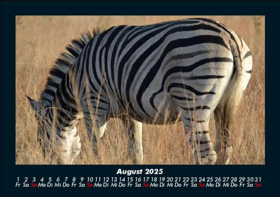 InsideView 12