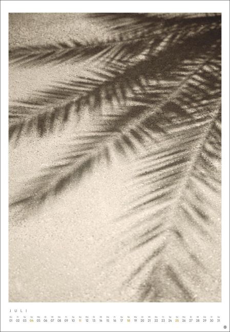 InsideView 7