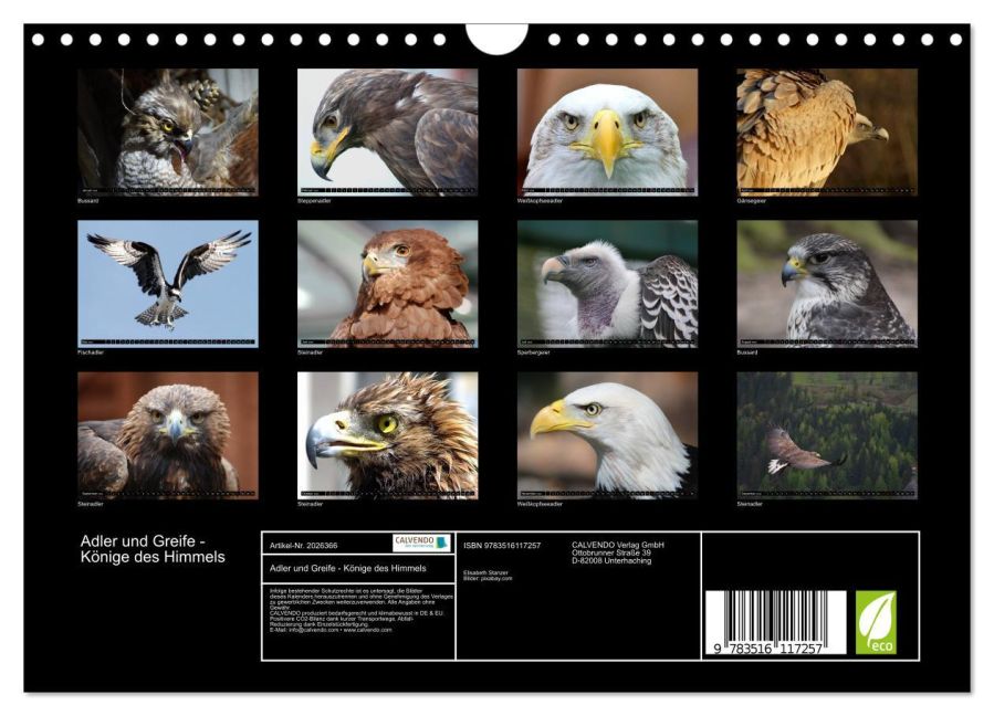 InsideView 5
