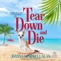 Tear Down and Die - Joanna Campbell Slan