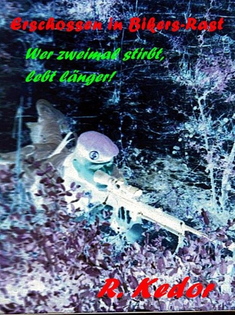 Erschossen in Bikers-Rast - Roman Kedor