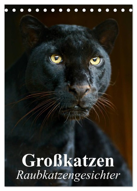 Großkatzen. Raubkatzengesichter (Tischkalender 2026 DIN A5 hoch), CALVENDO Monatskalender - Elisabeth Stanzer