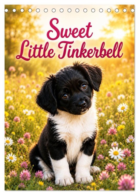 Sweet Little Tinkerbell (Tischkalender 2027 DIN A5 hoch), CALVENDO Monatskalender - Sonja Hofmann