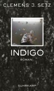 Cover-Bild zum Titel 'Indigo' von 'Clemens J. Setz'