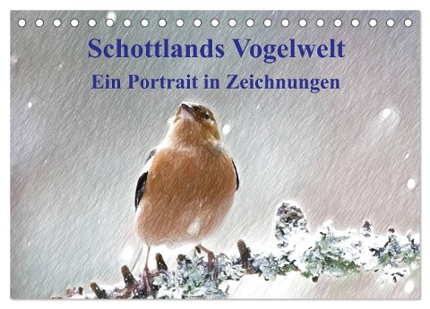 Schottlands Vogelwelt - Ein Porträt in Zeichnungen (Tischkalender 2025 DIN A5 quer), CALVENDO Monatskalender - Friederike Küster