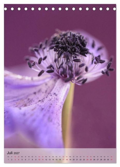 InsideView 12