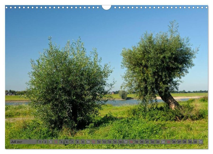 InsideView 12