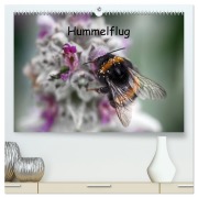 Hummelflug (hochwertiger Premium Wandkalender 2026 DIN A2 quer), Kunstdruck in Hochglanz - Klaudia Kretschmann