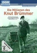 Cover-Bild zum Titel 'Die Millionen des Knut Brümmer' von 'Herbert Nachbar, Karl-Ernst Sasse'