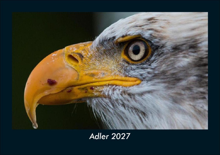 Adler 2027 Fotokalender DIN A5 - Tobias Schmitt, Kevin Heber