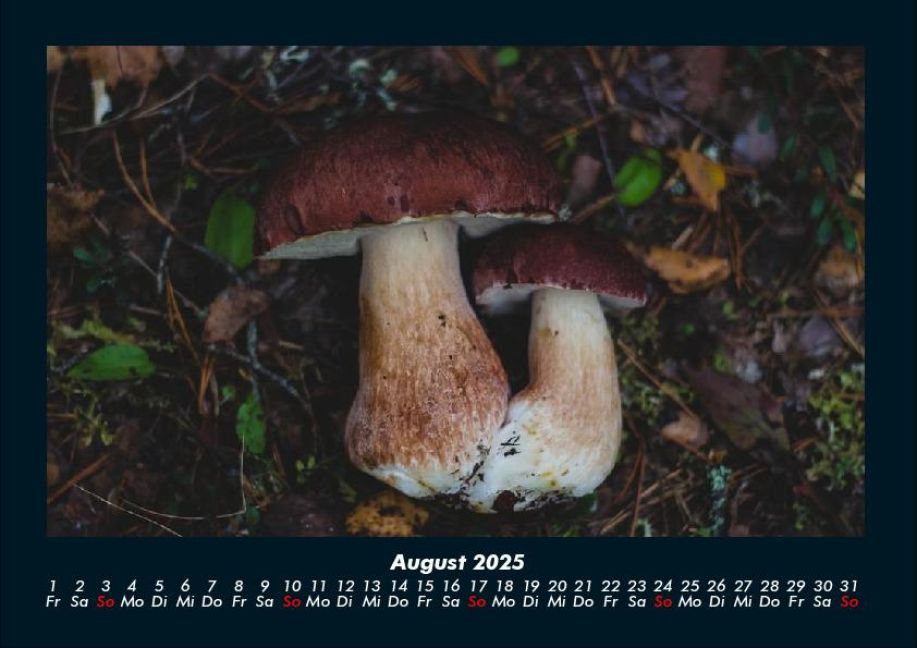 InsideView 12