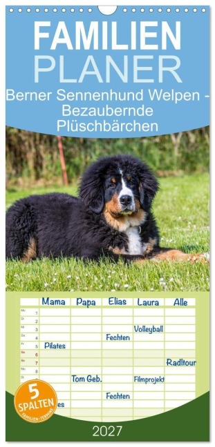 Familienplaner 2027 - Berner Sennenhund Welpen - Bezaubernde Plüschbärchen mit 5 Spalten (Wandkalender, 21 x 45 cm) CALVENDO - Jana K. Fotografie
