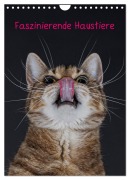 Cover-Bild zum Titel 'Faszinierende Haustiere (Wandkalender 2026 DIN A4 hoch), CALVENDO Monatskalender' von 'Wiebke von der Heyde'
