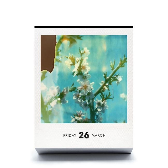InsideView 6
