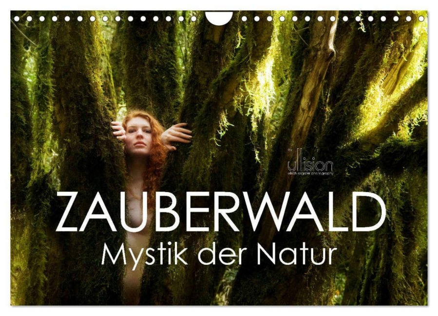 ZAUBERWALD Mystik der Natur (Wandkalender 2026 DIN A4 quer), CALVENDO Monatskalender - Ulrich Allgaier (Ullision)
