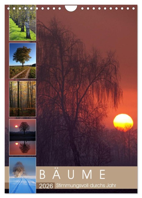 Bäume - Stimmungsvoll durchs Jahr (Wandkalender 2026 DIN A4 hoch), CALVENDO Monatskalender - Martina Cross