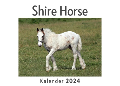 Shire Horse (Wandkalender 2024, Kalender DIN A4 quer, Monatskalender im Querformat mit Kalendarium, Das perfekte Geschenk) - Anna Müller