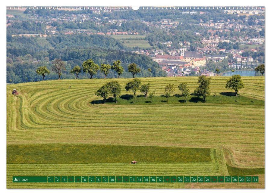 InsideView 12