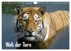 Welt der Tiere (Wandkalender 2026 DIN A4 quer), CALVENDO Monatskalender - Tanja Riedel