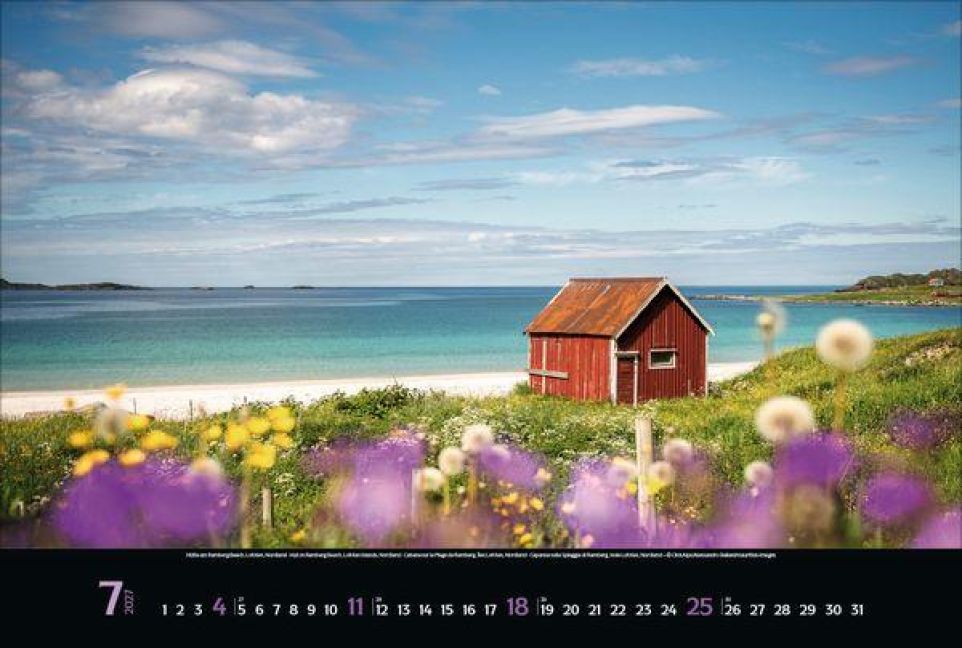 InsideView 7